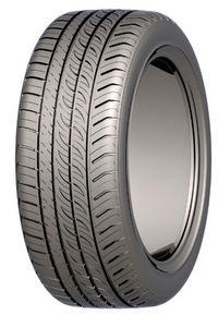 225/40 R18 92W AUTOGRIP P308 AUTO