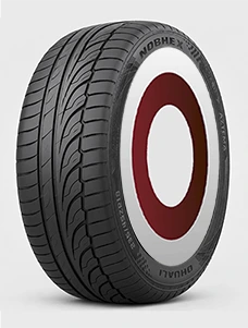 225/60 R17 99H JAYGUEY NOBHEX